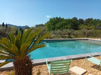 a swimming pool with two chairs and a palm tree at Le Mas Joséphine in Saint-Rémy-de-Provence