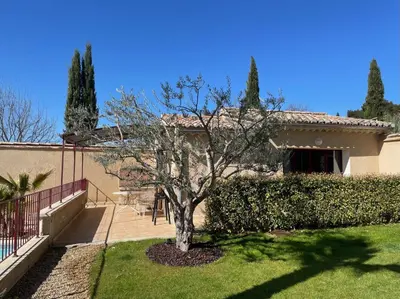 a tree in a yard in front of a house at Les Célestins - Studios indépendants in Carpentras