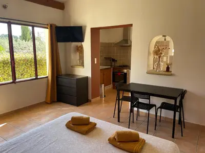 a living room with a table and chairs and a kitchen at Les Célestins - Studios indépendants in Carpentras