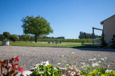 a gravel driveway with a tree in the background at Maison contemporaine - grand jardin et piscine privée in LʼIsle-sur-la-Sorgue