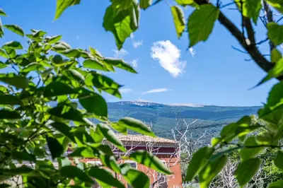 a view of the mountains through the trees at campdebaseventoux, vue sur le ventoux insolite in Bédoin