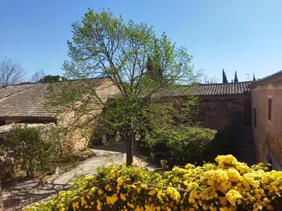 a garden with yellow flowers in front of a building at Le Mas Réséda in Goult