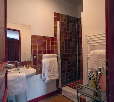 a bathroom with a sink and a shower at Le Clos des Amandiers in Simiane-la-Rotonde