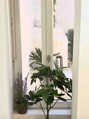 a window with plants sitting on a window sill at Le Petit Patio in Aix-en-Provence
