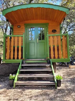 a house with a green door and stairs at La Roulotte des Oliviers in Saint-Pierre-de-Vassols