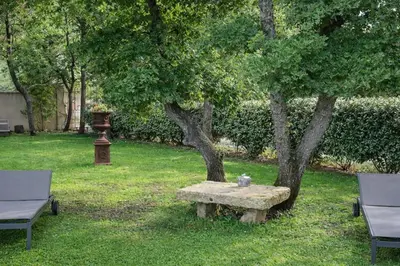 a stone bench next to a tree in a yard at Property with panoramic views in Cabrières-dʼAvignon