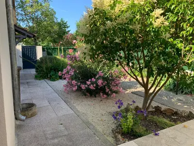 a garden with a tree and some flowers at Petite maison près du centre in LʼIsle-sur-la-Sorgue