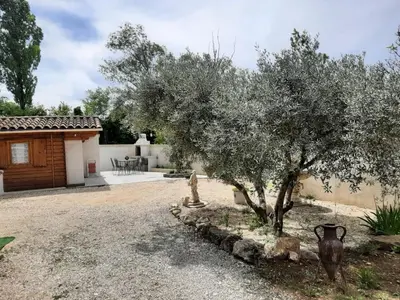 a tree in a yard next to a house at Chalet au pied du Mont Ventoux in Mormoiron