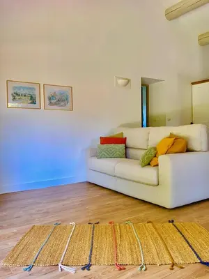 a living room with a white couch and a rug at Appartement neuf et au calme proche Avignon in Althen-des-Paluds