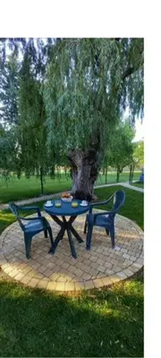 a table and two chairs next to a tree at Logement lumineux, entièrement rénové avec jardin in Caumont-sur-Durance