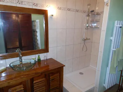 a bathroom with a sink and a shower with a mirror at Les Passiflores in Roussillon