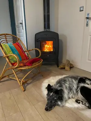 a dog laying on the floor in front of a fireplace at Proche Saint Rémy de Provence in Mollégès