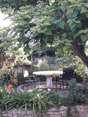 a table and chairs under a tree in a garden at Rendez-vous au soleil de Provence - gite 4 personnes 80m2 - coin jardin - climatisation in Cheval-Blanc