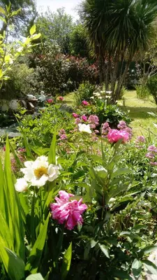 a garden filled with lots of different colored flowers at Rendez-vous au soleil de Provence - gite 4 personnes 80m2 - coin jardin - climatisation in Cheval-Blanc
