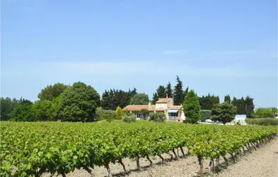 a field of vines with a house in the background at Nice Home In Lançon-Provence in Lançon-Provence