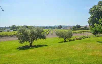 a field of green grass with trees and vines at Nice Home In Lançon-Provence in Lançon-Provence