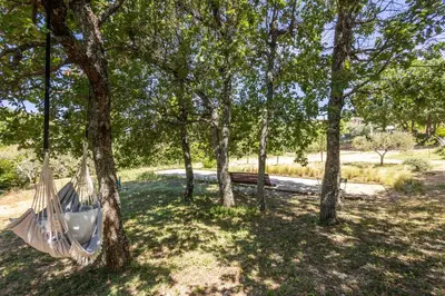 a hammock hanging from a tree in a park at Gîte L'Escapade in Saint-Saturnin-les-Apt