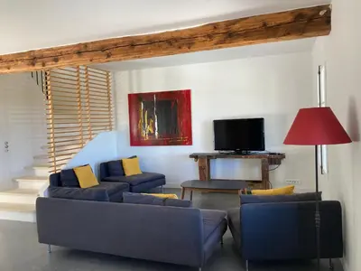 a living room with two blue couches and a tv at La bastide in Malemort-du-Comtat