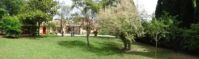 a yard with trees in front of a house at The Blue Tit - private swimming pool in LʼIsle-sur-la-Sorgue