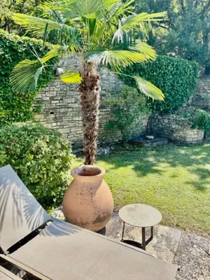 a large vase with a palm tree in a yard at Propriété d'exception au coeur du Luberon in Robion en Luberon