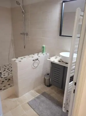a bathroom with a shower and a toilet and a sink at La Maison de la Forge in Gordes