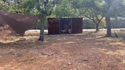 a shed with a door in a field with trees at Gite Couleur Terre à 10MN de Gordes in Croagnes