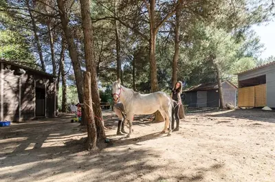 a woman standing next to a white horse next to a tree at Village Pont Royal en Provence - maeva Home - Appartement 2 Pièces 5 Personnes Sélection MAE-2164 in Mallemort