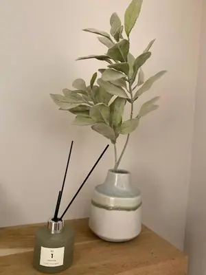 two vases sitting on a wooden table with a plant at Instant Parfait en Provence Chambre privée et piscine in Monteux