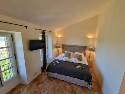 a bedroom with a bed with two pillows and a television at Maison au centre du village de Gordes avec vue incroyable in Gordes