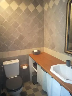 a bathroom with a toilet and a sink at maison au coeur de Fontaine de Vaucluse, nichée sur le rocher et surplombant la sorgue in Fontaine-de-Vaucluse