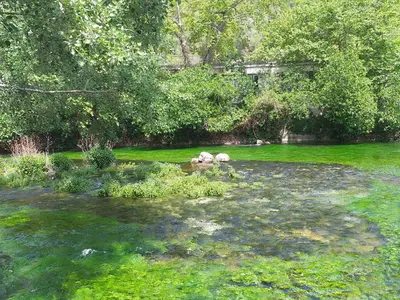 a garden with three animals in the grass at maison au coeur de Fontaine de Vaucluse, nichée sur le rocher et surplombant la sorgue in Fontaine-de-Vaucluse