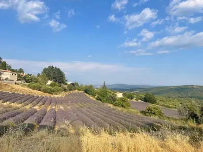 a vineyard on a hill with a blue sky at Gîte l’Inattendu in Vachères