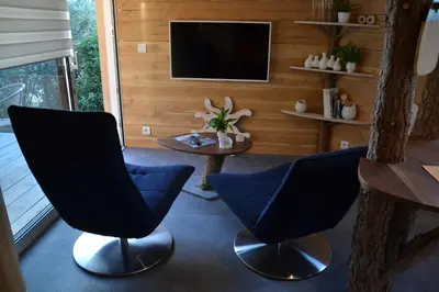 a living room with two chairs and a television at Le gîte du petit branché in Mazan