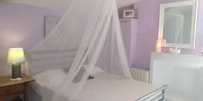 a bedroom with a white bed with a mosquito net at Bienvenue à la Source dans une Maison de Charme in Apt