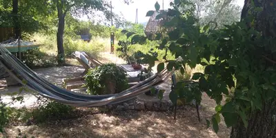 a hammock in the middle of a garden at Bienvenue à la Source dans une Maison de Charme in Apt