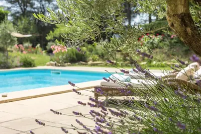 a garden with a swimming pool and purple flowers at Le Mas de Caroline in Gargas