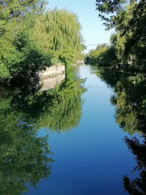 a river with the reflection of trees in the water at Gîte Les Demoiselles des Sorgues in LʼIsle-sur-la-Sorgue
