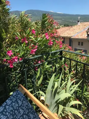 a view from the balcony of a house with pink flowers at Au petit bonheur in Bédoin
