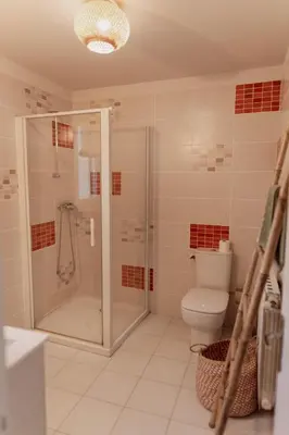 a bathroom with a shower and a toilet at GITE LE TILLEUL in Mormoiron