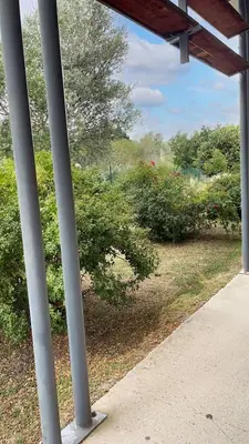 a view of a park with trees and bushes at Maison confortable Saint-Saturnin in Saint-Saturnin-lès-Avignon