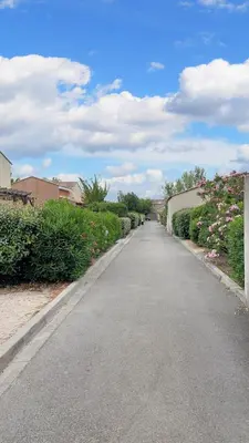 an empty road with bushes and flowers on either side at Maison confortable Saint-Saturnin in Saint-Saturnin-lès-Avignon