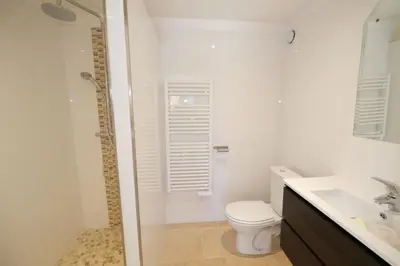 a bathroom with a shower and a toilet and a sink at charming vacation rental with heated pool at the foot of the alpilles, in aureille, close to the center of the village on foot, sleeps 6/8 people in provence. in Aureille