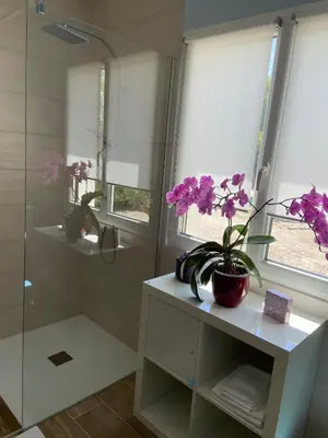 a bathroom with a shower and a potted plant on a shelf at L’oliveraie in Robion en Luberon