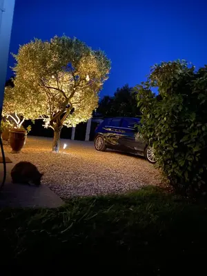 a car parked next to a tree at night at L’oliveraie in Robion en Luberon