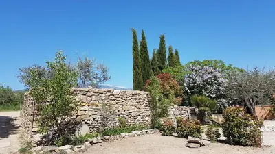 a stone retaining wall with trees and bushes at le moulin in Crillon-le-Brave