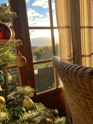 a room with a christmas tree and a window at Le Jardin sur la colline près du Golf in LʼIsle-sur-la-Sorgue