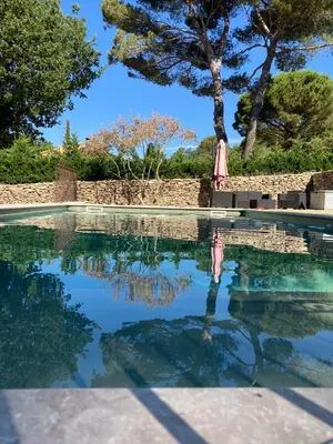 a pool with an umbrella and trees in the background at Le Jardin sur la colline près du Golf in LʼIsle-sur-la-Sorgue