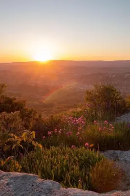 a field of flowers with the sunset in the background at Romantic Provencal house with terrace in Saignon