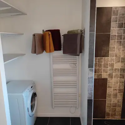 a bathroom with a washing machine and a shower at La Remise de Guytou et Spa in Cheval-Blanc