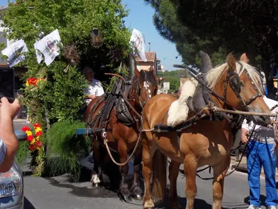 two brown horses pulling a carriage on a street at Les Hauts d'Eyragues gite Rêverie Meublé classé 4 étoiles in Eyragues